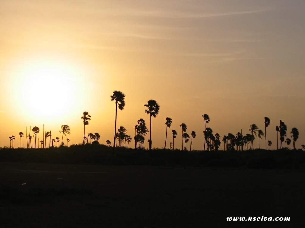 Sai Holiday Inn Jaffna Eksteriør bilde